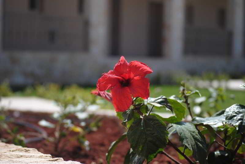 Magnolia Resort (Adults Only) Katelios Exteriér fotografie